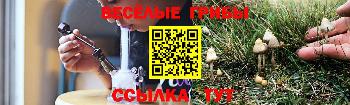 Унеча  Псилоцибиновые грибы Psilocybe  Вход с VPN  Псилоцибиновые грибы Psilocybine cubensis 