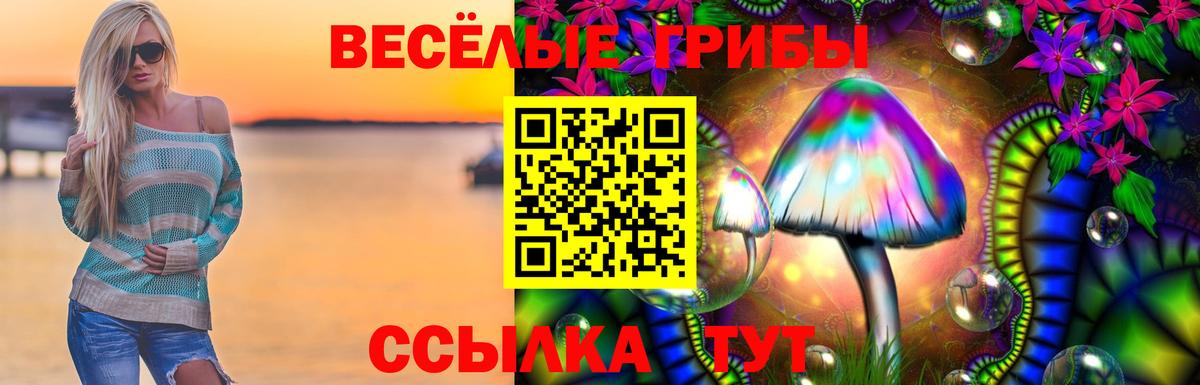 Галлюциногенные грибы прущие грибы Унеча